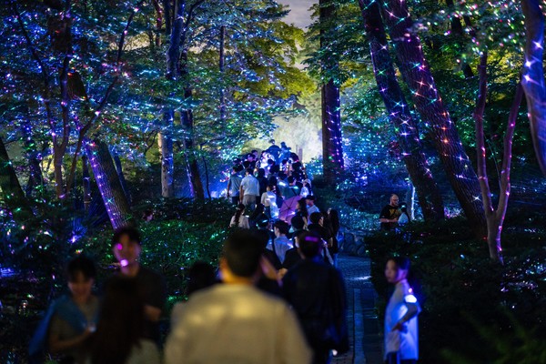 올해 하반기 진행한 ‘청와대 밤의 산책’에서 관람객이 숲을 거닐고 있다. (사진=문화체육관광부)